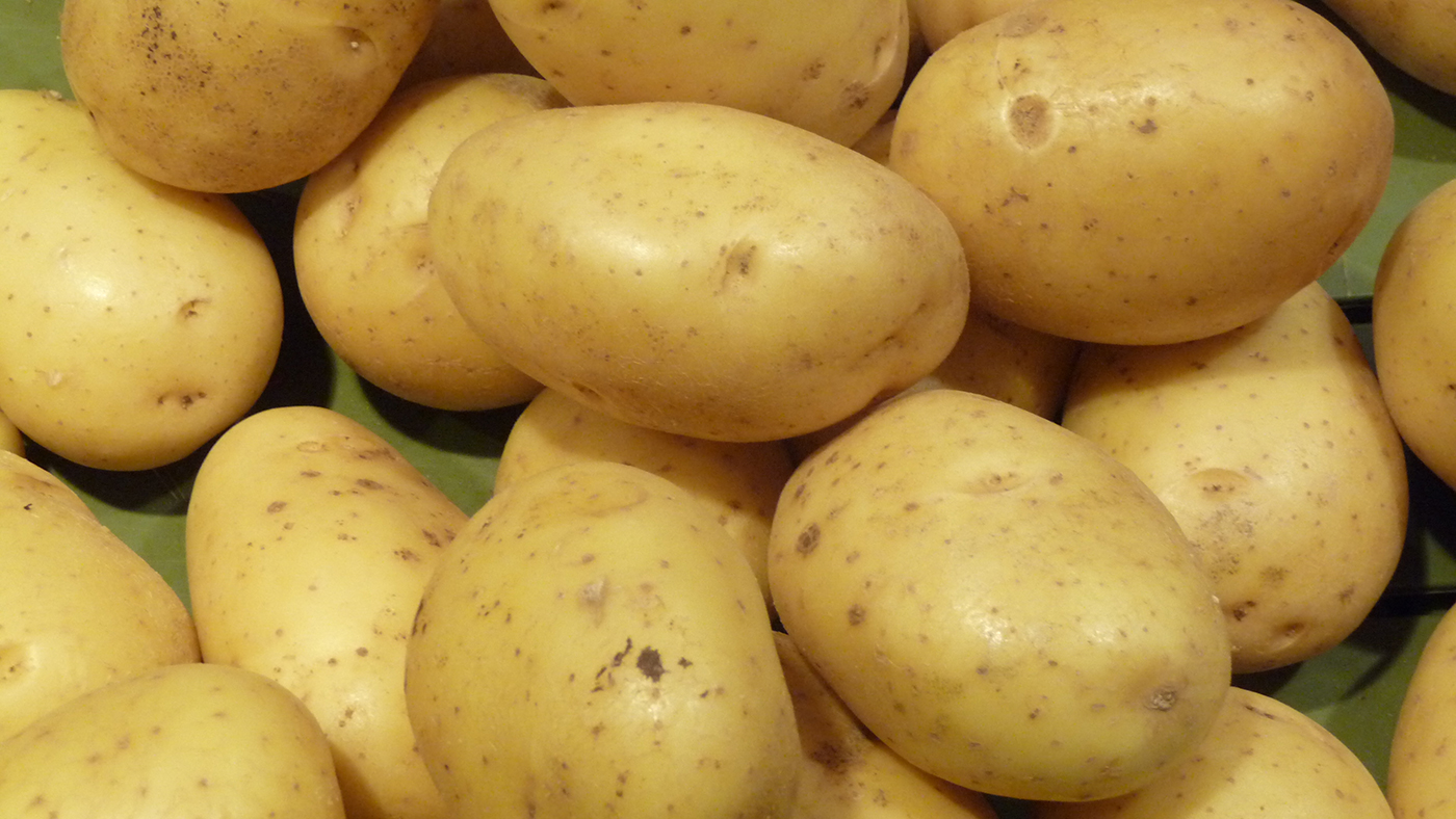 Pommes de terres séchées