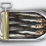 Sardines