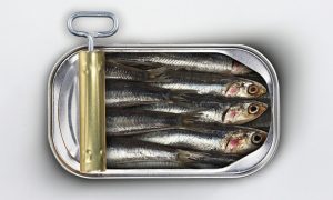 Sardines